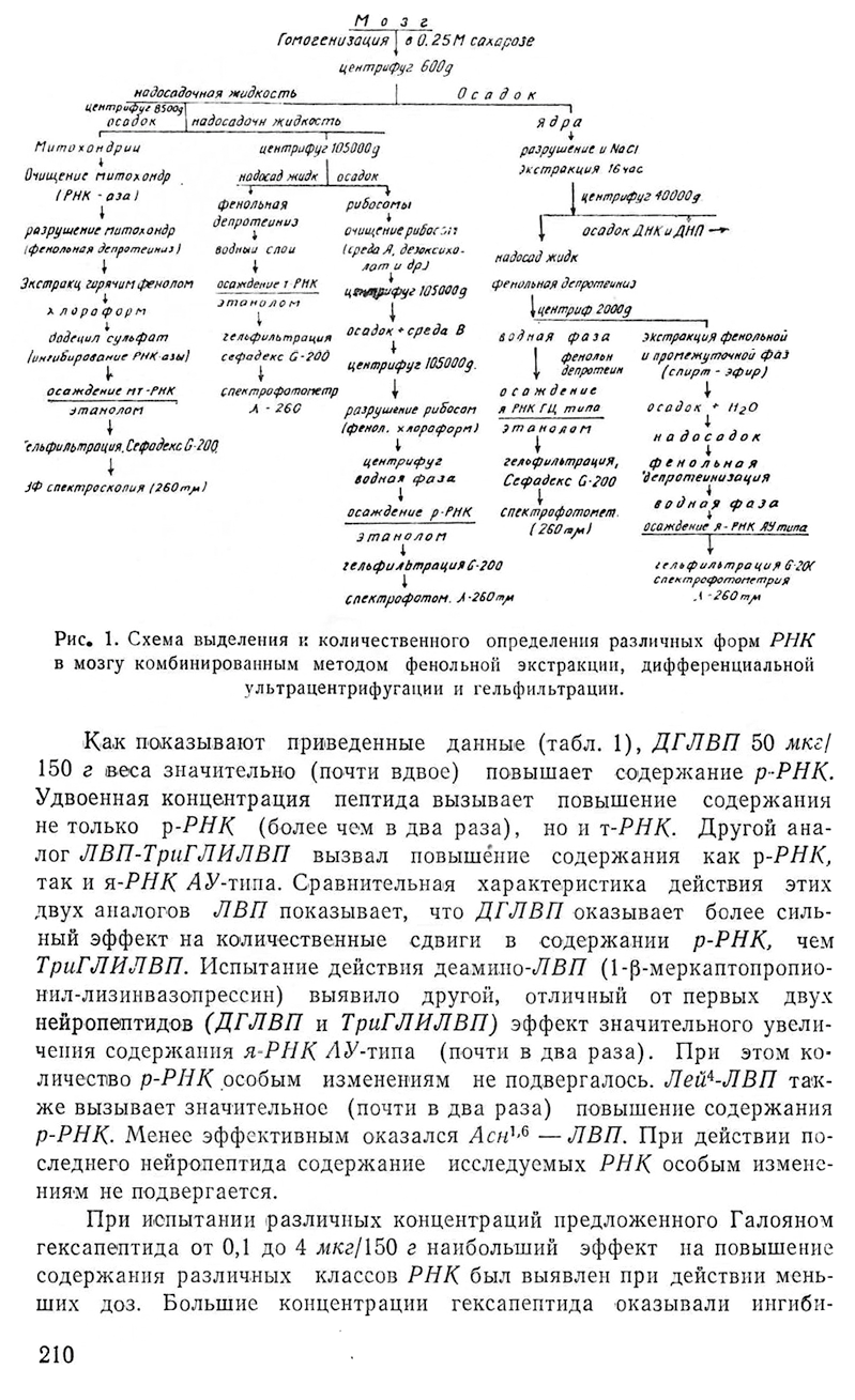 հոդված5 Page 07