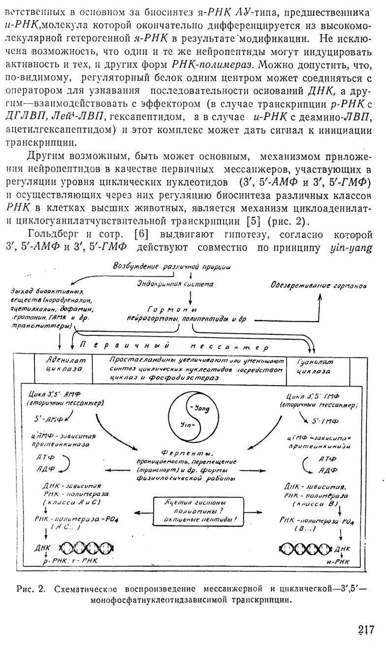 հոդված5 Page 14