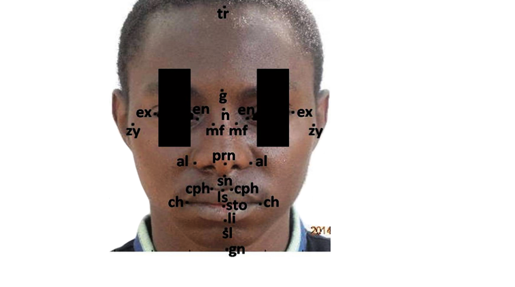 Akinlolu Figure 1 1024x571